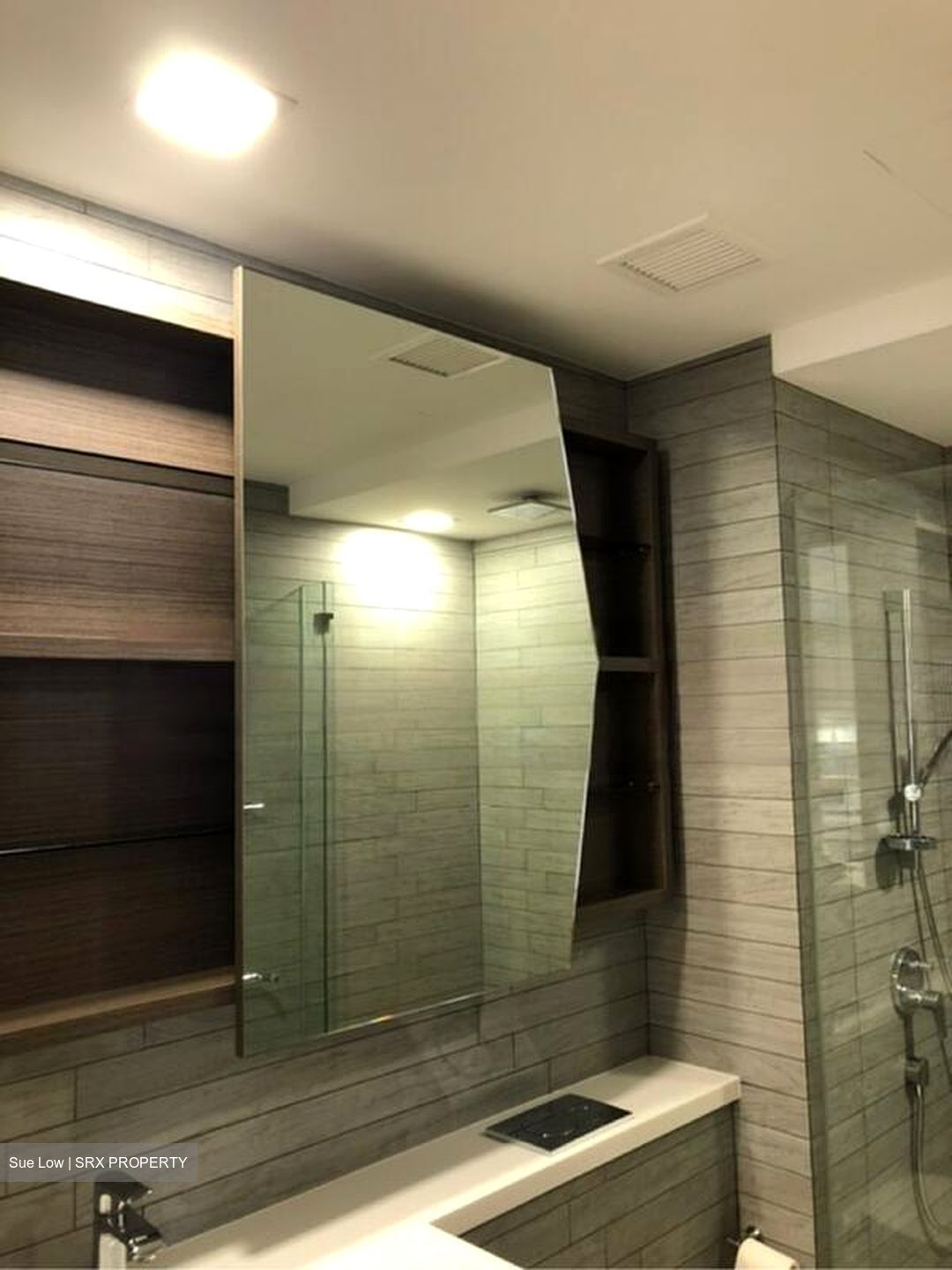 V On Shenton (D1), Apartment #591872151